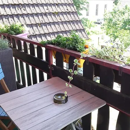 Zur Sonne Wittenweier Penzion 3*